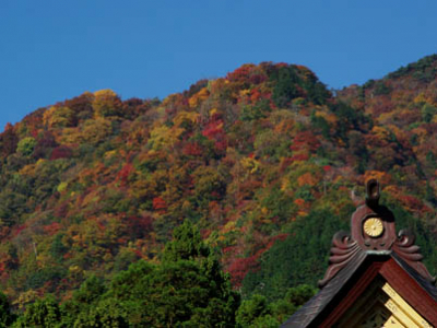 紅葉の季節です。