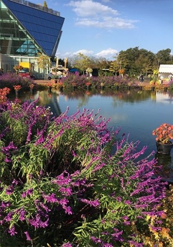 フラワーパーク江南のイメージ01