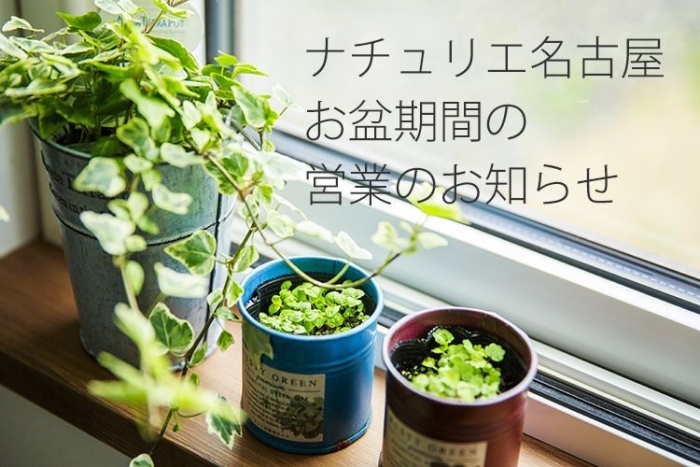 お盆休みのイメージ