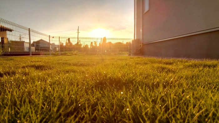 梅雨の合間の晴れ間、モデルハウスの芝生も嬉しそう