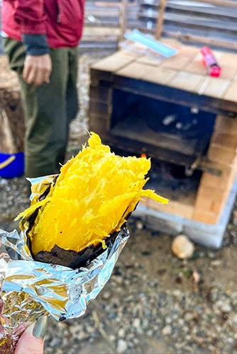 焼き芋のイメージ
