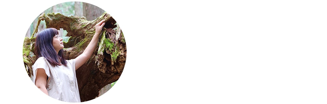 「やすらぎの木」いまえだくみさんのイメージ