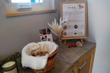 アロマストーンのイメージ