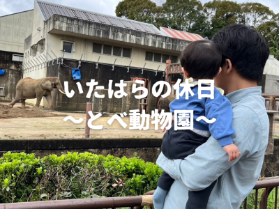 いたはらの休日　～とべ動物園～