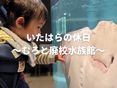 いたはらの休日　～むろと廃校水族館～