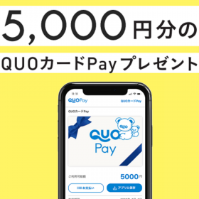QuoPay5000円分