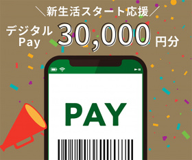 デジタルPAY 30,000円分