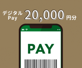 デジタルPAY 20,000円分