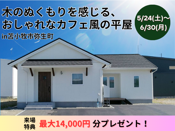 【苫小牧市】木のぬくもりを感じる、おしゃれなカフェ風の平屋モデルハウス【29坪3LDK】