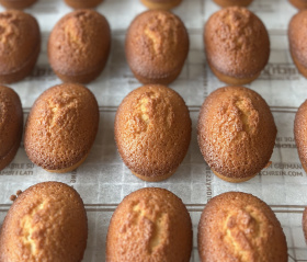 【WEB予約特典】「Labo.」さんの焼き菓子&今だけ!amazonカード5,000円分