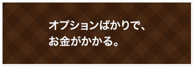 オプションばかりで、お金がかかる。